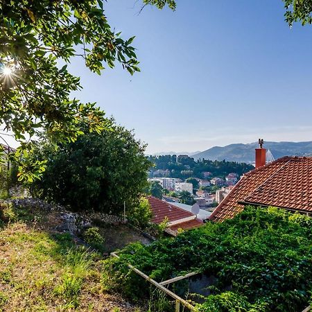 Apartment Amigo Dubrovnik Dış mekan fotoğraf