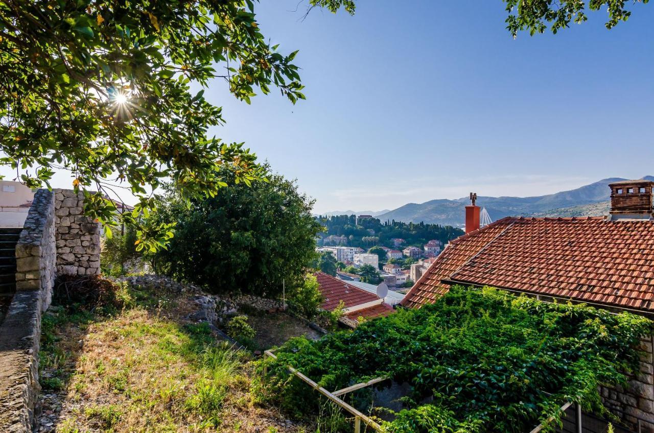 Apartment Amigo Dubrovnik Dış mekan fotoğraf